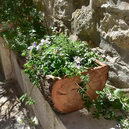 Old Town شقة *